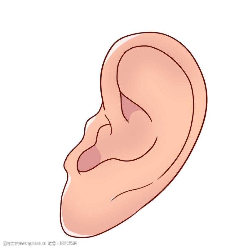 人体器官图立体耳朵器官插图