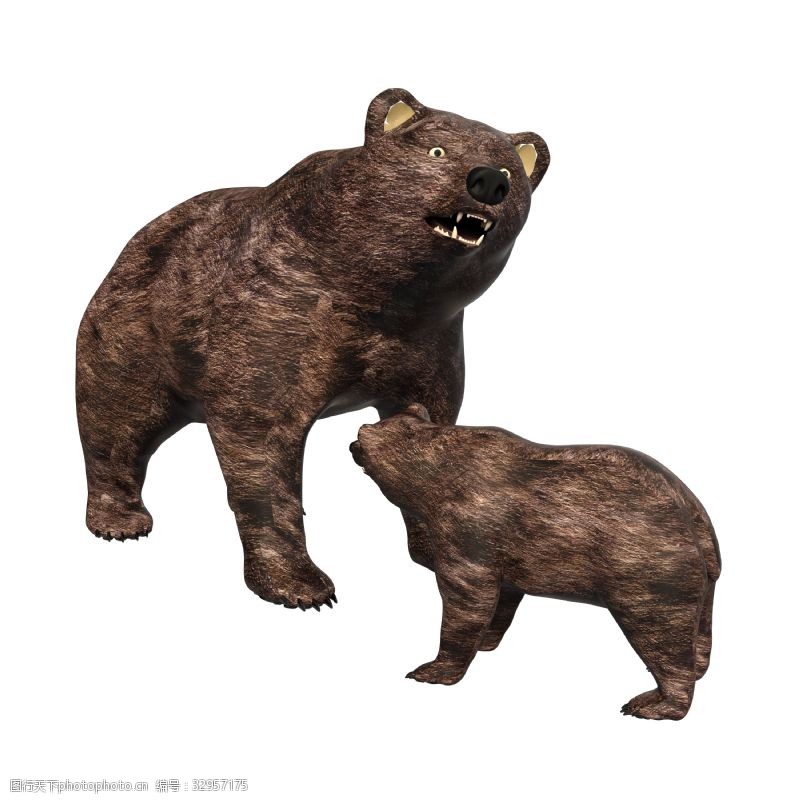 没关系动物系列两只灰熊母子