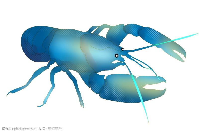 蓝色龙虾动物插画