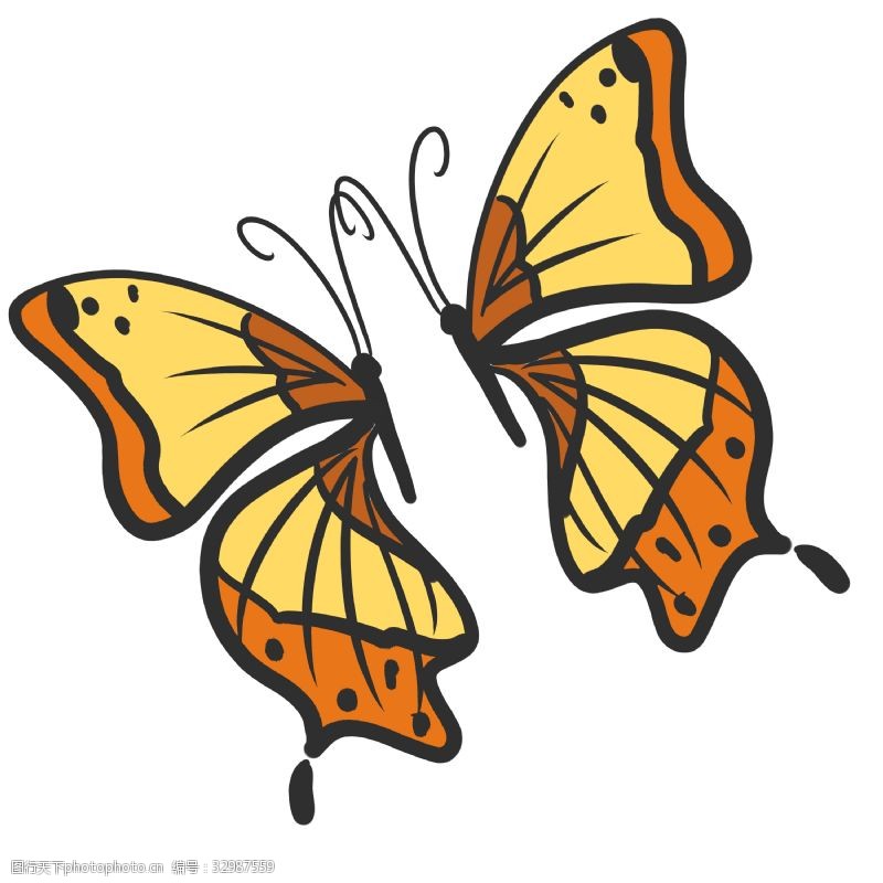 两只蝴蝶两只黄色蝴蝶插图