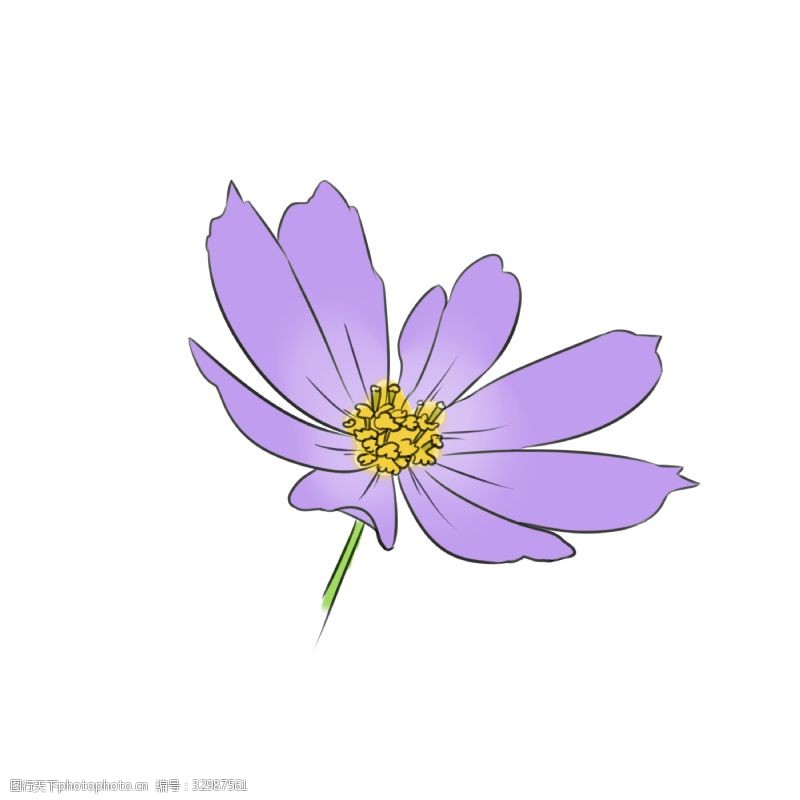 漂亮的紫色花朵插图