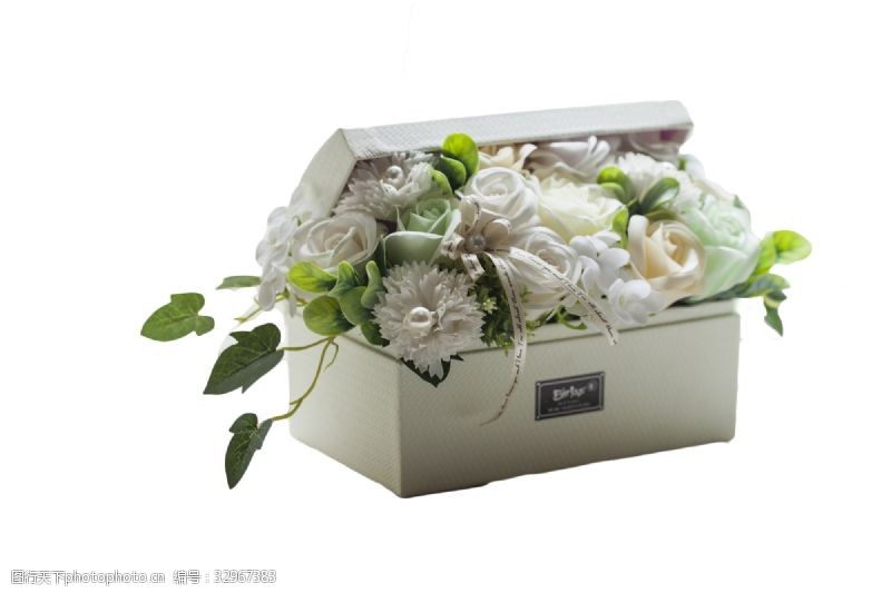 含苞未放盒装美丽芬芳的花朵