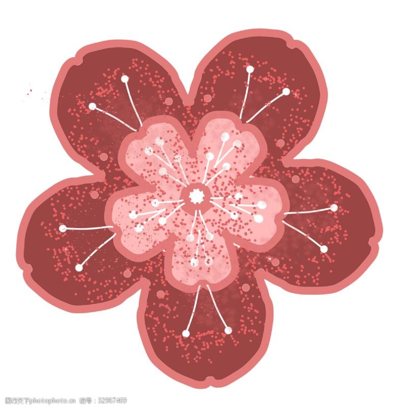 一朵漂亮的樱花插图