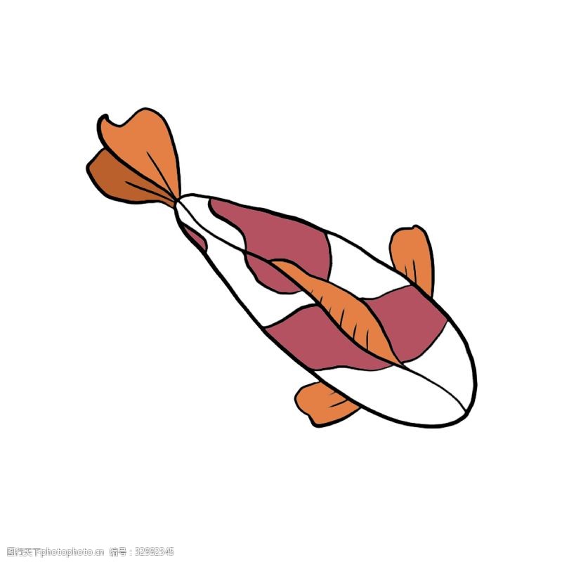 鲤鱼卡通日本锦鲤插图