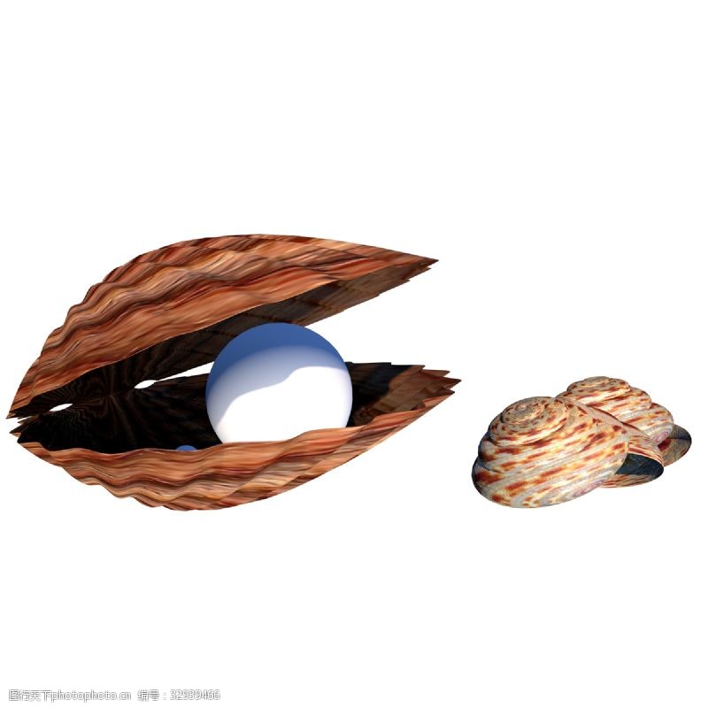 贝壳免扣图C4D贝壳珍珠蚌海螺