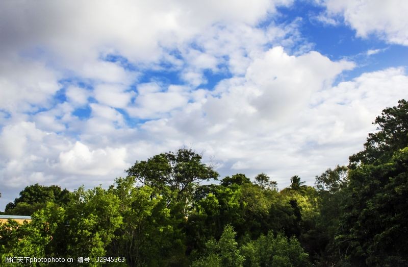 千库原创蓝天下的森林景观摄影