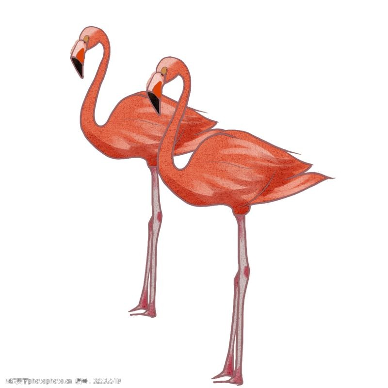 粉色火烈鸟水彩动物清新手绘可爱