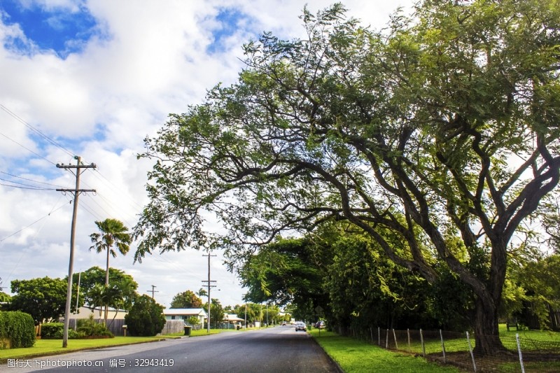 千库原创澳洲的马路和路边的大树