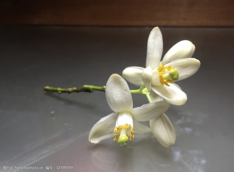 花雷图片免费下载 花雷素材 花雷模板 图行天下素材网