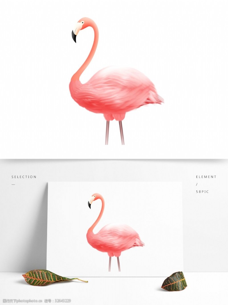 粉色火烈鸟粉色清新火烈鸟动物设计