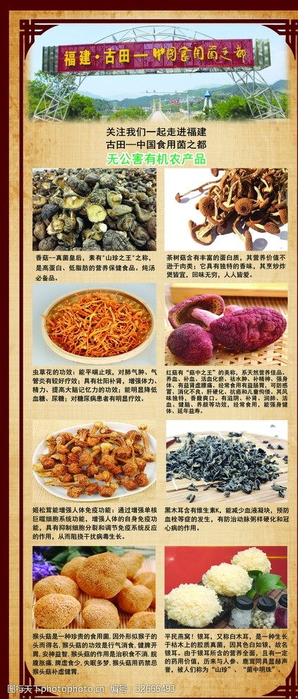 蔬菜种类中国食用茵之都