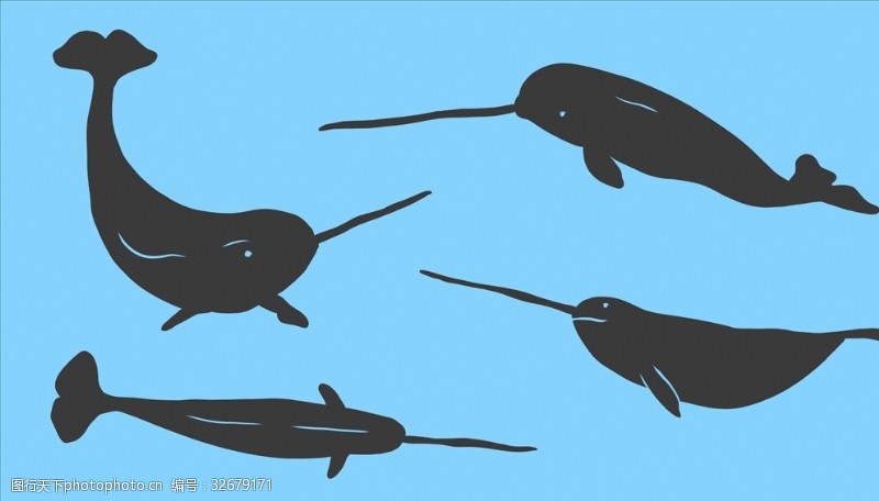 海洋生物矢量独角鲸集合