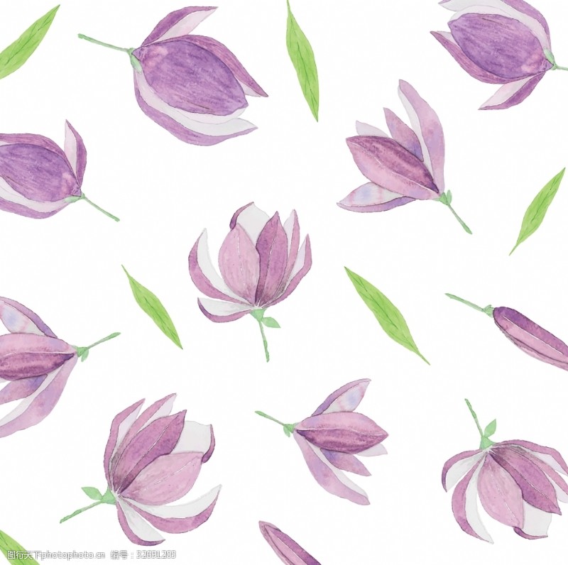 方格紫色玉兰花平铺图