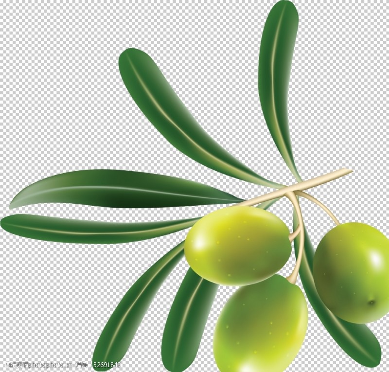 香草榄橄榄