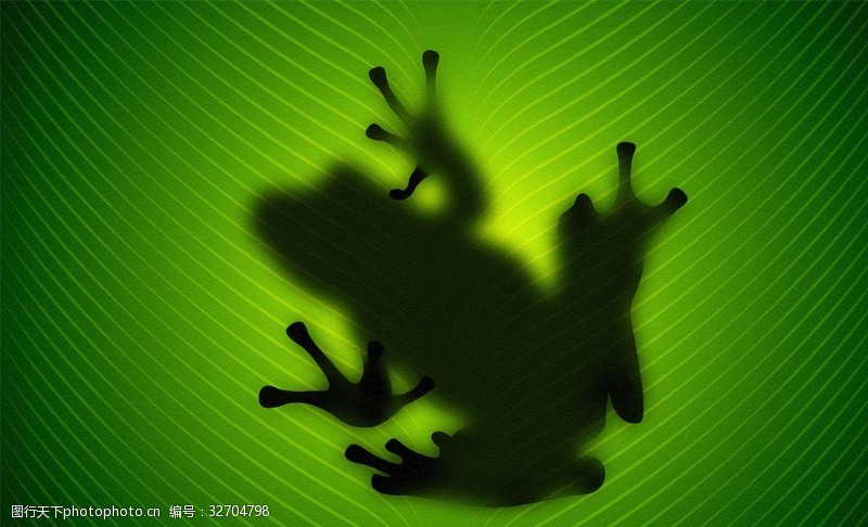 绿色青蛙青蛙