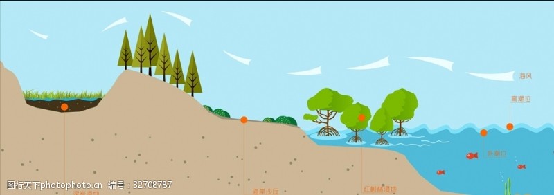 湿地保护区湿地功能天然保护伞