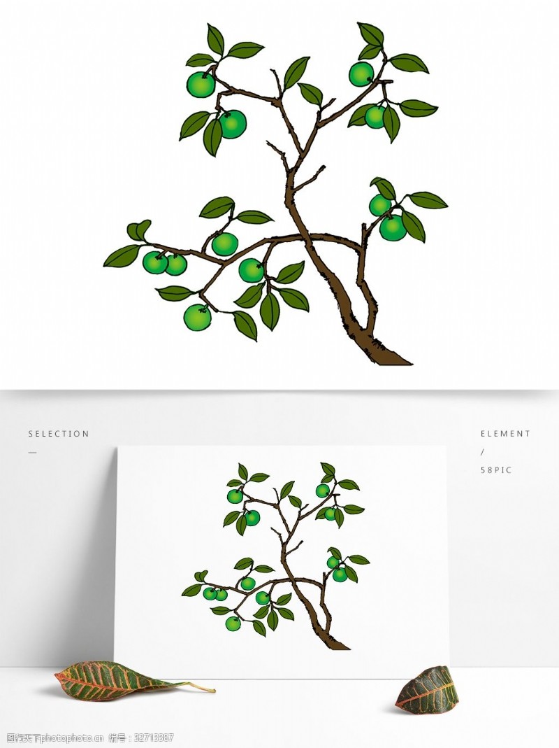 小青柑手绘青柑树设计图稿