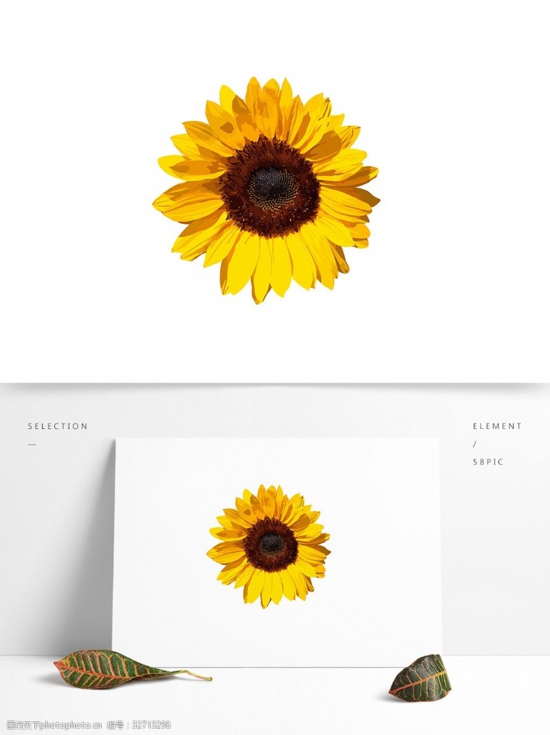 太阳花一朵向日葵装饰图案矢量