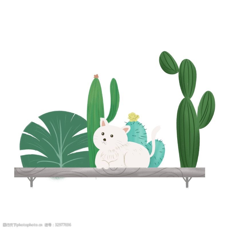 猫和植物仙人掌和猫咪