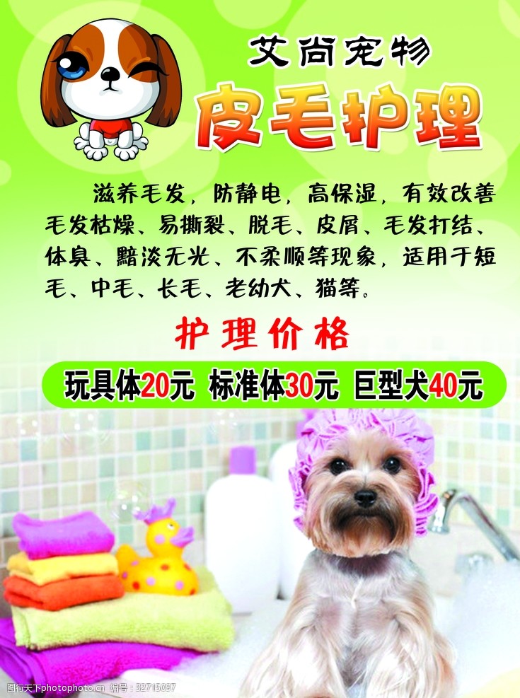 宠物洗澡宠物店宠物护理海报