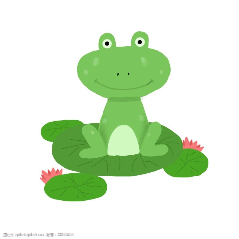 绿色青蛙夏季荷塘的小青蛙