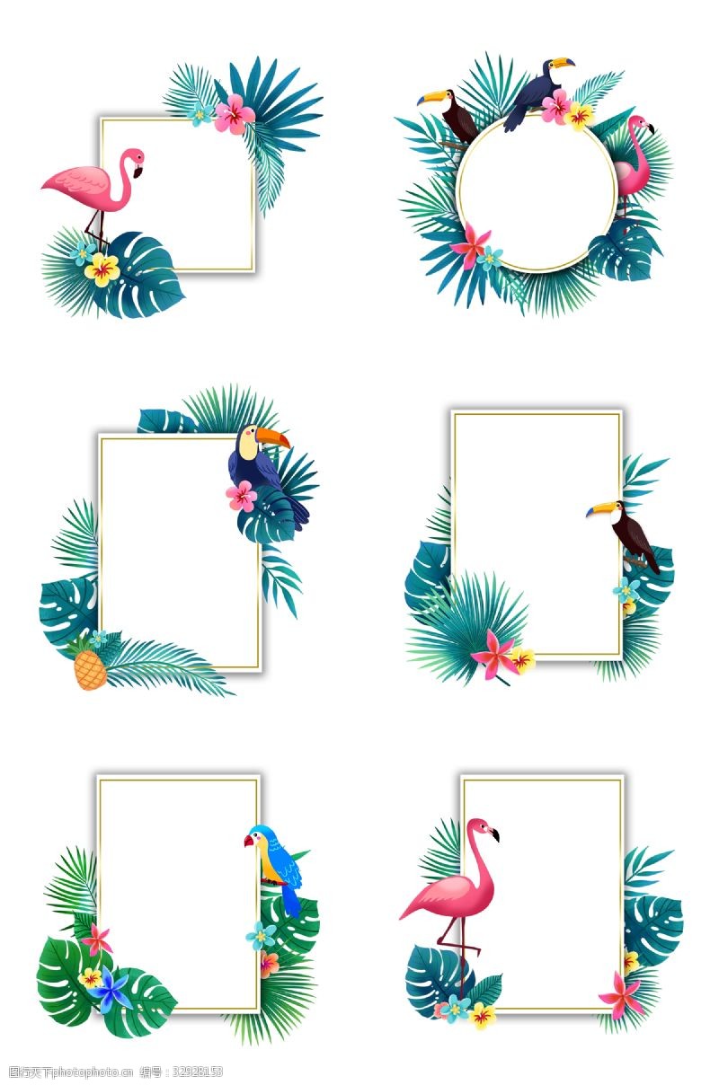 火烈鸟和叶子夏季热带植物和鸟类边框组图
