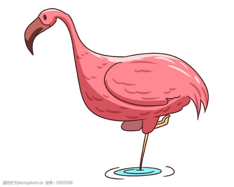 粉色火烈鸟动物