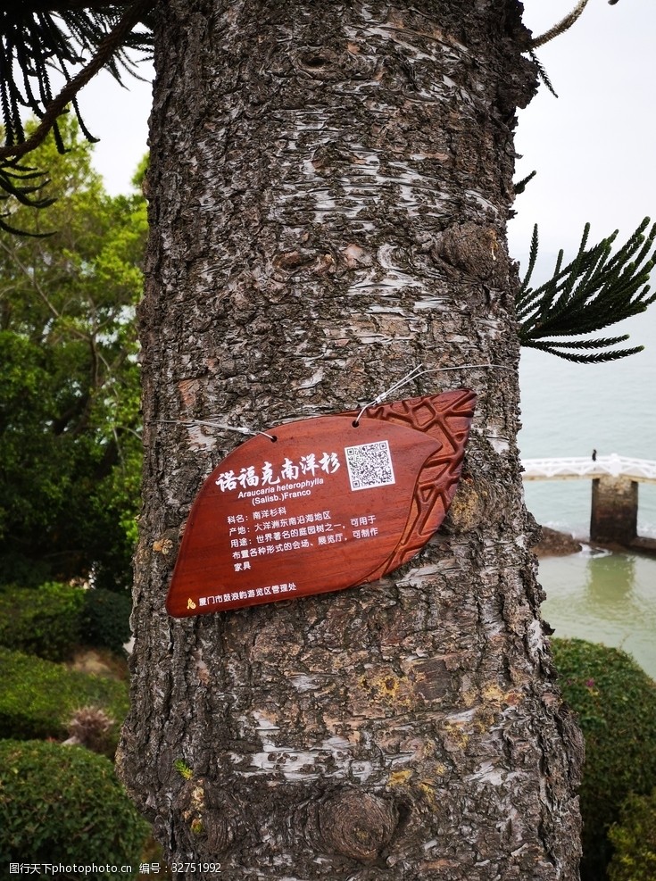 旅游区标识树木指示牌