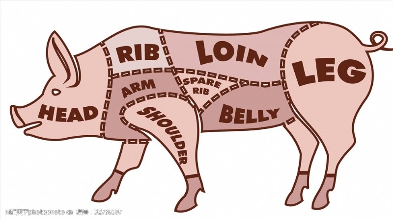 分割部位猪肉部位分割解说图