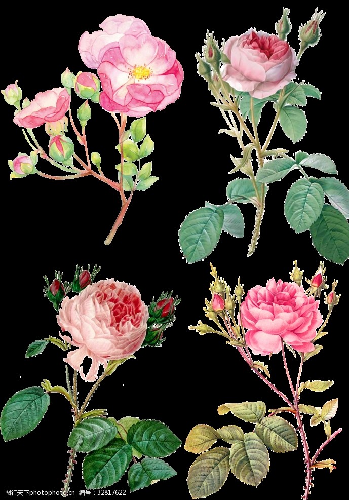 手绘紫色花图片免费下载 手绘紫色花素材 手绘紫色花模板 图行天下素材网