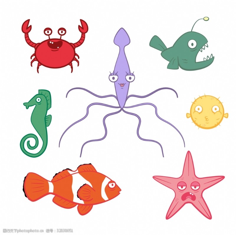 海洋生物海洋动物插图