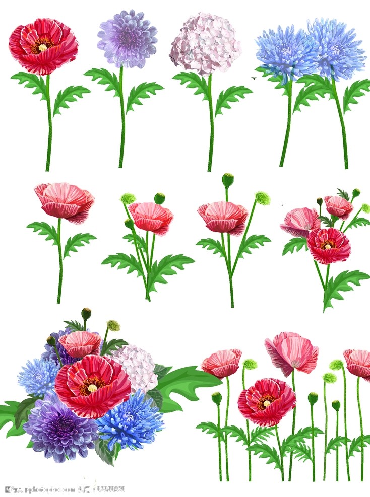 各种各样的花红花绿叶很靓的插画花装饰花