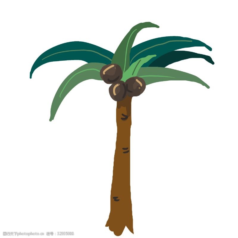 棕榈叶绿色棕榈树植物