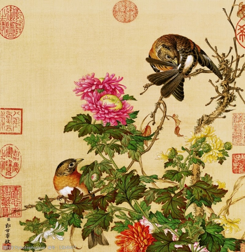 郎世寧 花鳥圖 清郎世宁《花鸟图册》赏析-搜狐