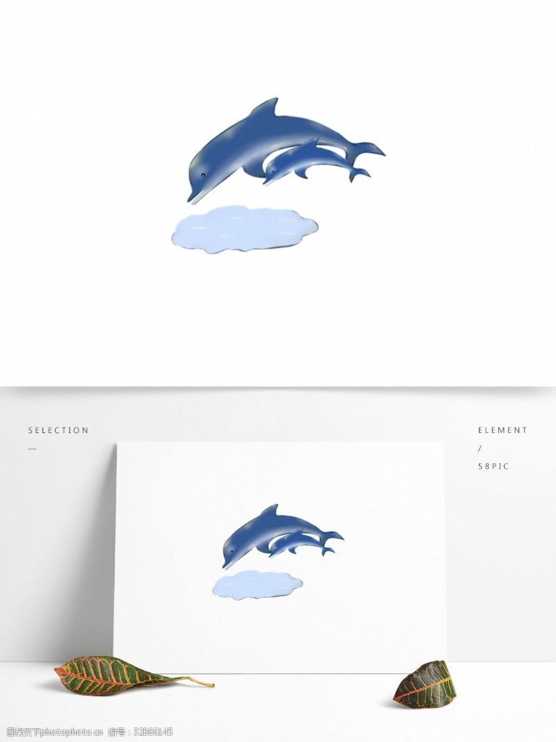 母亲节动物海豚母亲和孩子图案