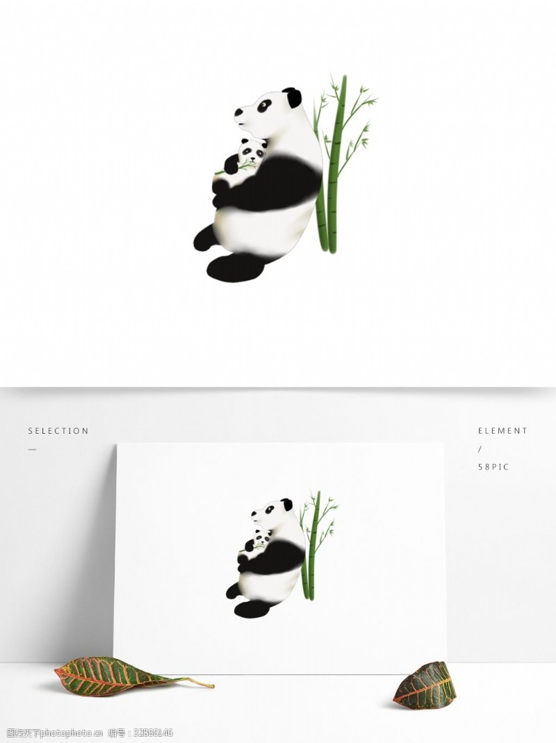 母亲节动物熊猫母亲和孩子图案
