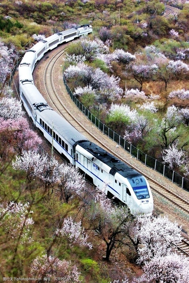 蜿蜒开往春天的火车