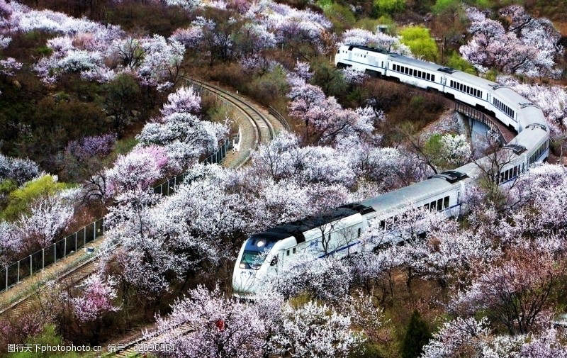 蜿蜒开往春天的列车