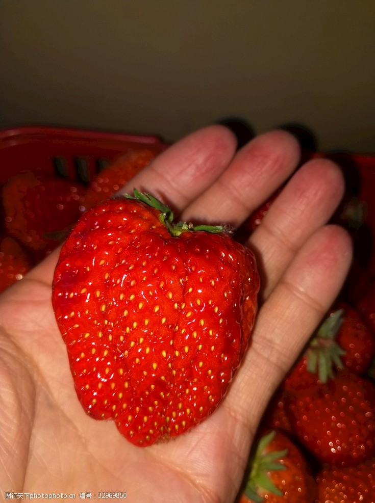 口红手中的草莓