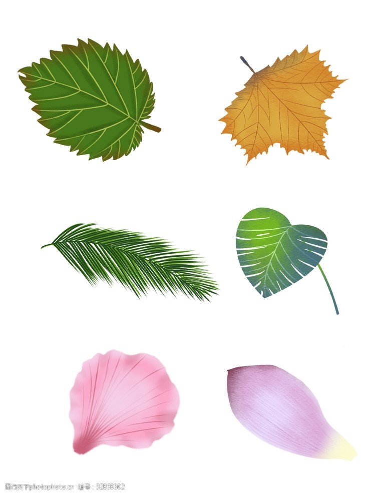 树叶图片免费下载叶子素材