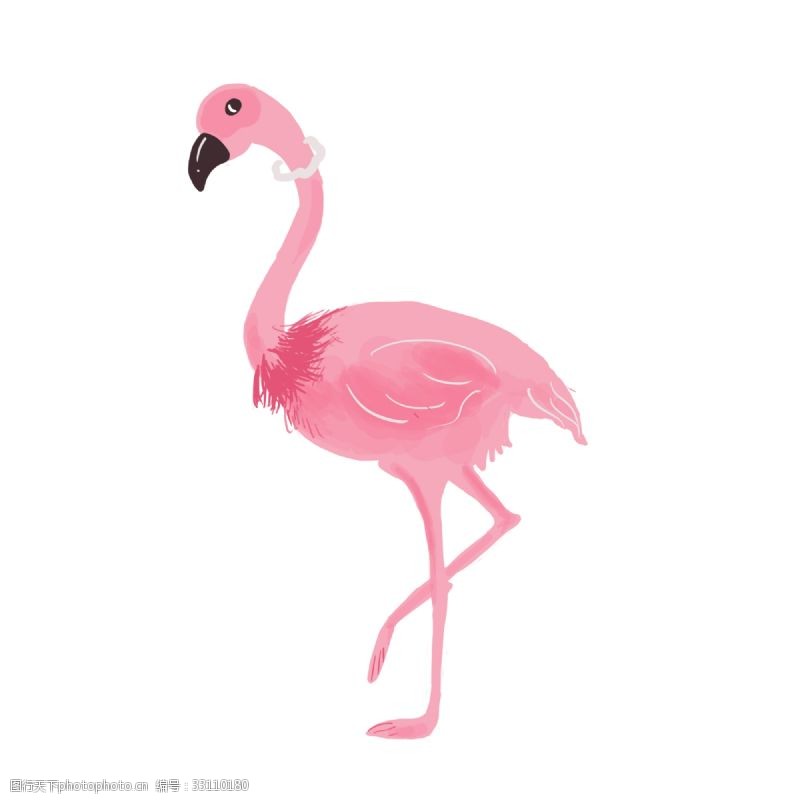 粉色火烈鸟粉红火烈鸟动物