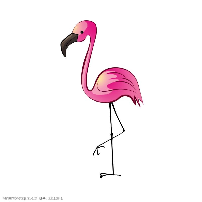 粉色火烈鸟粉色可爱火烈鸟