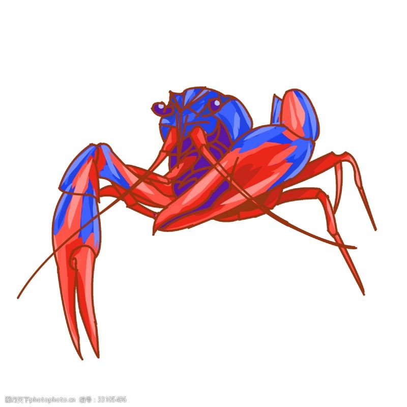 蓝红色小龙虾