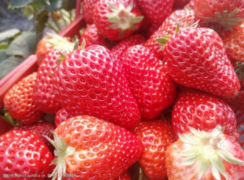 口红新鲜的草莓