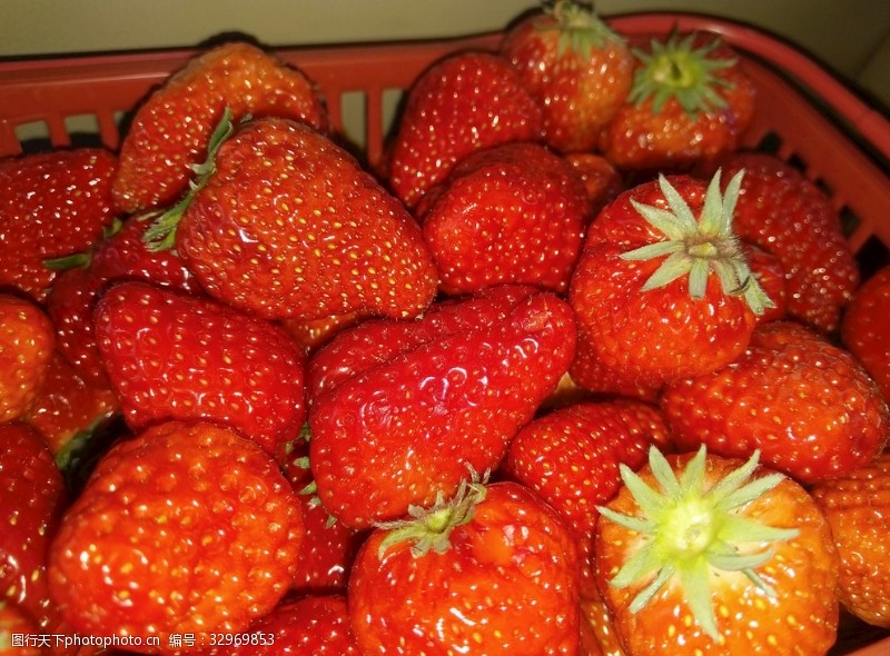 口红新鲜的草莓