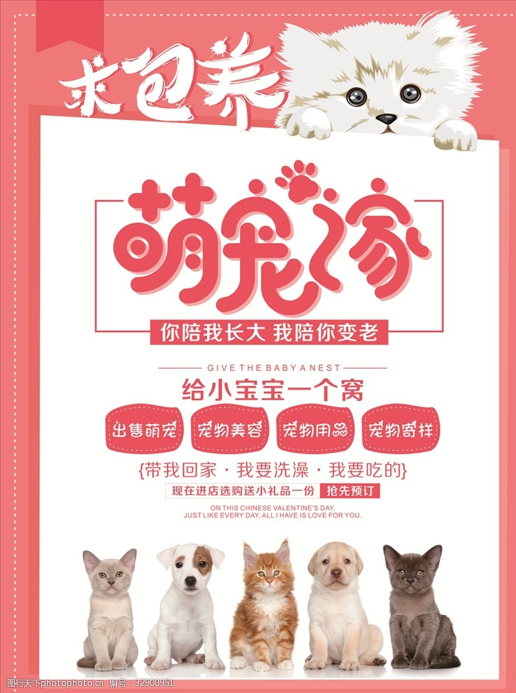 宠物店海报简约清新卡通宠物之家萌宠宠物店