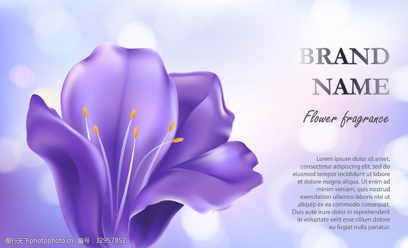 优雅的蓝色背景紫色的花