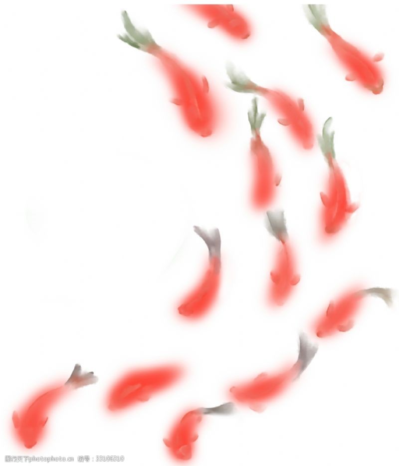 鲤鱼一群红色的鱼图案