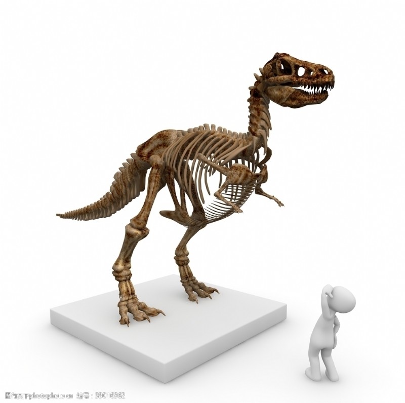 三角龙恐龙侏罗纪侏罗纪公园动物