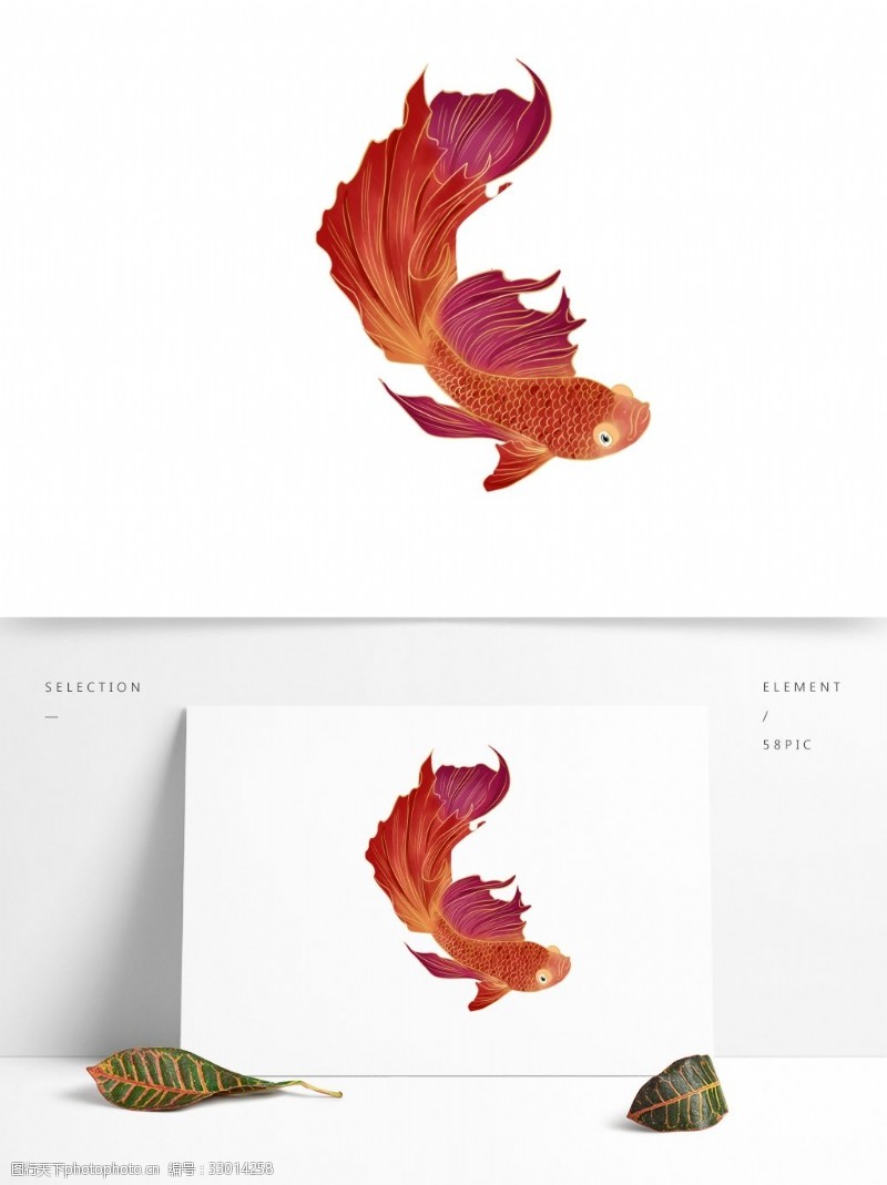 鲤鱼手绘一条红色锦鲤动物设计